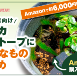 Amazonで約6,000円！初心者向けメダカビオトープに必要なものまとめ【実体験あり】